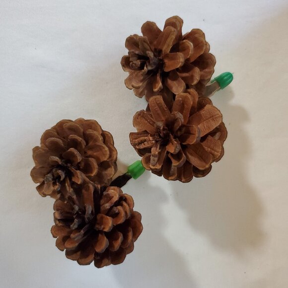 Natural Unscented Wooded Pinecone Clip Ornaments – Holiday Décor – Set of (2) - Picture 1 of 6